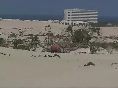 ભારતીય કોલેજ છોકરી સેક્સી વિડિઓ